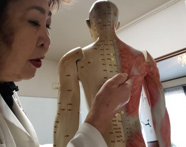 e7a9d81a4775d4ff1a3e223dc02fdb5d5